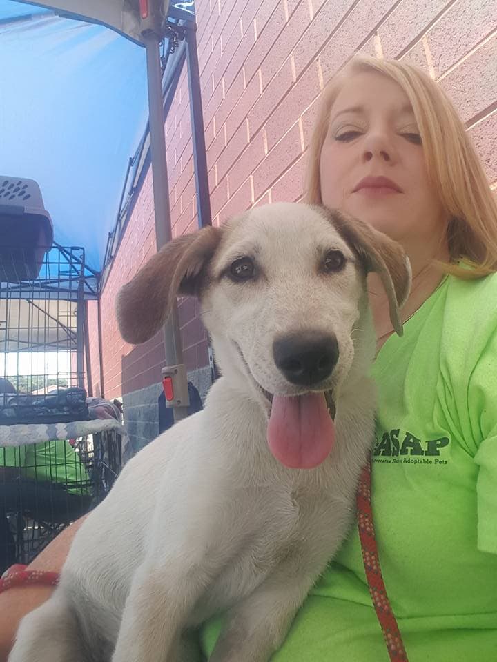 An ASAP foster volunteer with a rescue dog